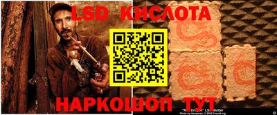 прущие грибы Славгород