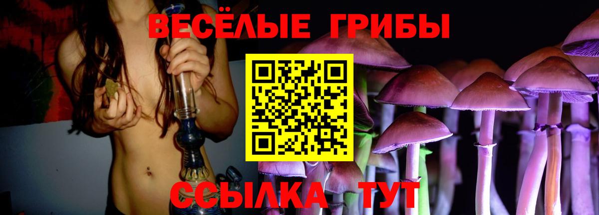 Новоуральск  Галлюциногенные грибы Magic Shrooms  Вход с VPN 